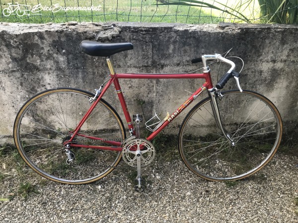 bicicletta artar da donna