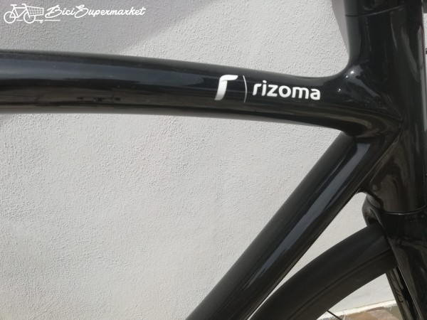 bici da cittÃ , city bike uomo Rizoma R77 carbonio